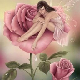 Rose Angelina