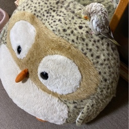 ジマーみはる