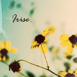 Irise