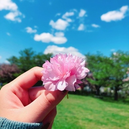 鈴夏(suzuka)