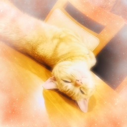 ✿める✿