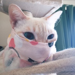 とも