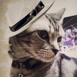 platinumcat