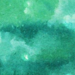 ＊Green Bird＊