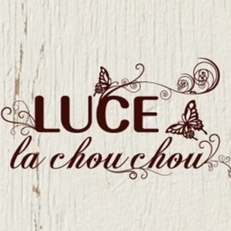 akari-luce