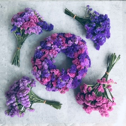 suuu-asa-flower