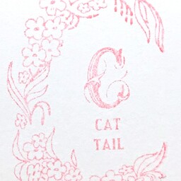 cattail4869