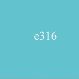 e316-m