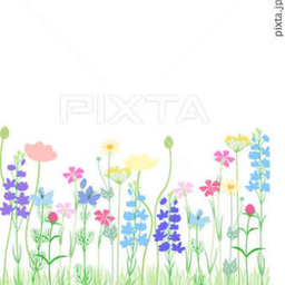 palette