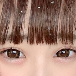 chipyonpyon