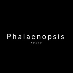 Phalaenopsis