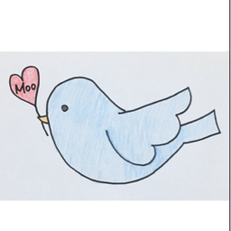 ももぞう🕊️