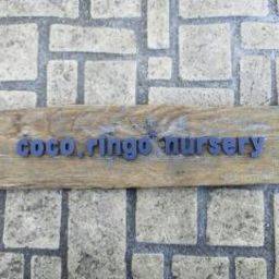 coco.ringo*nursery 