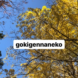gokigennaneko 