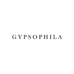gypsophila24
