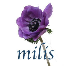 milis -ﾐﾘｼｭ-