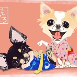 momo♡taro