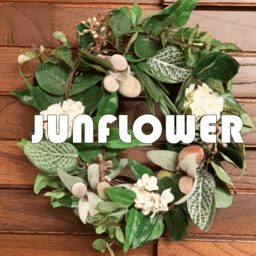 junflower