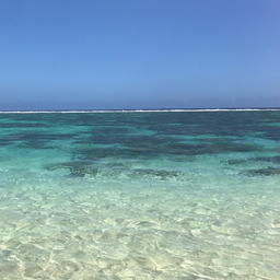 ✴︎ makana ✴︎ 