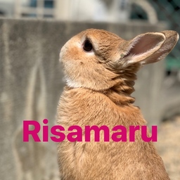 risamaru818