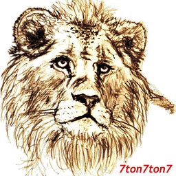 7ton7ton7
