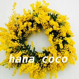 hanacoco126