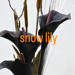 snowlily 