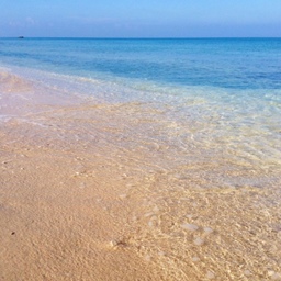 kaiholo