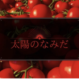 太陽のなみだ