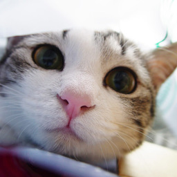 beauty-yuka