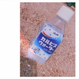 sakupon24