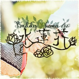  水蓮花  発送２週間～