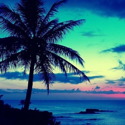 Laule'a