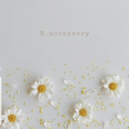 R.accessory