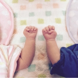 kachi-twins