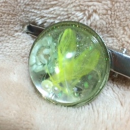 Hikari