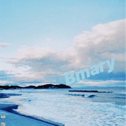 bmary