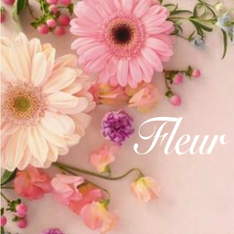 fleur ⋈*。(ﾌﾙｰﾙ)