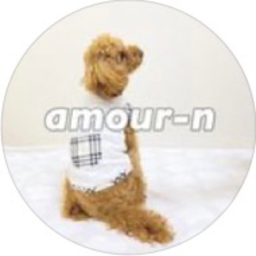 amour-n