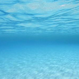 海の宝石屋さん