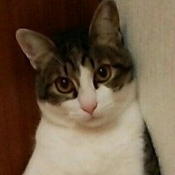 ヒロミ