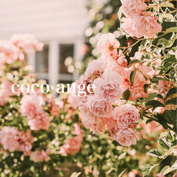 coco  ange