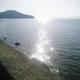 yoshio-s
