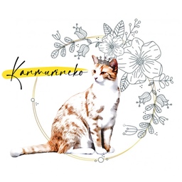 Kanmurineko