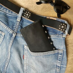 Harness