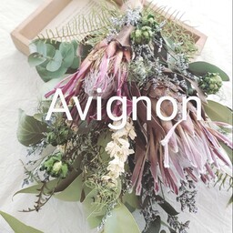 Avignon