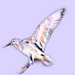 Snipe