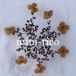 mini-rico