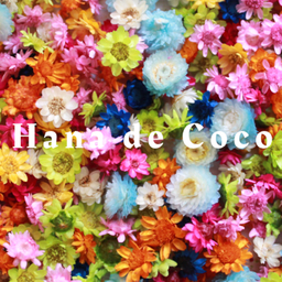 Hana de Coco 