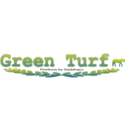 Green Turf